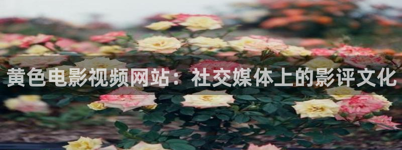 奉节保利万和影院今日影片：黄色电影视频网站：社交媒体上的影评文化